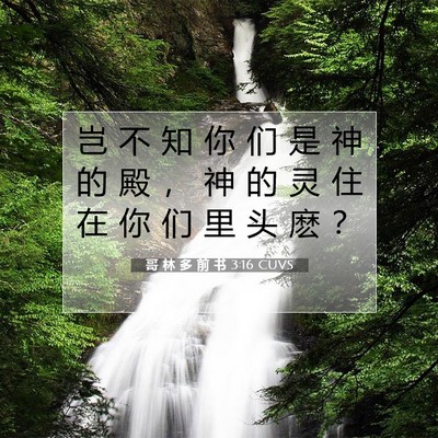 Picture 07 - 哥 林 多 前 书 3:16 CUVS - 岂 不 知 你 们 是 神 的 殿 ， 神 的 - Bible Verse Picture