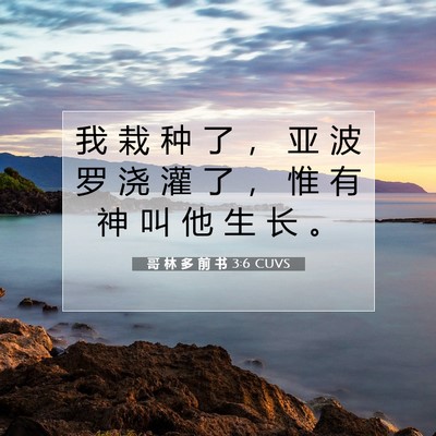 Picture 07 - 哥 林 多 前 书 3:6 CUVS - 我 栽 种 了 ， 亚 波 罗 浇 灌 了 ， - Bible Verse Picture