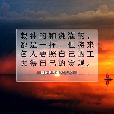 Picture 07 - 哥 林 多 前 书 3:8 CUVS - 栽 种 的 和 浇 灌 的 ， 都 是 一 样 - Bible Verse Picture