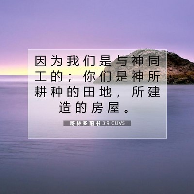 Picture 07 - 哥 林 多 前 书 3:9 CUVS - 因 为 我 们 是 与 神 同 工 的 ； 你 - Bible Verse Picture