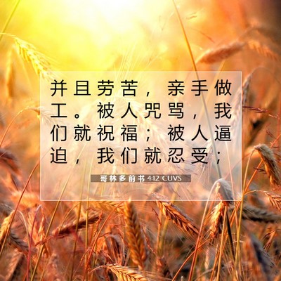 Picture 07 - 哥 林 多 前 书 4:12 CUVS - 并 且 劳 苦 ， 亲 手 做 工 。 被 人 - Bible Verse Picture