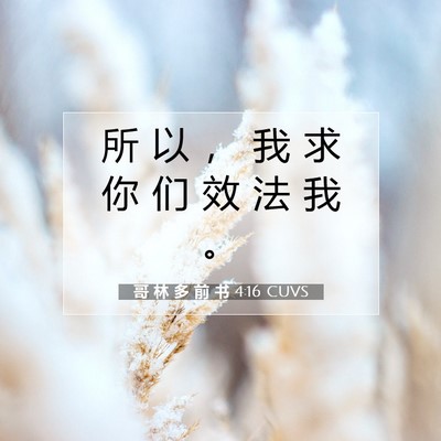 Picture 07 - 哥 林 多 前 书 4:16 CUVS - 所 以 ， 我 求 你 们 效 法 我 - Bible Verse Picture