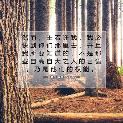 Picture 07 - 哥 林 多 前 书 4:19 CUVS - 然 而 ， 主 若 许 我 ， 我 必 快 到 - Bible Verse Picture