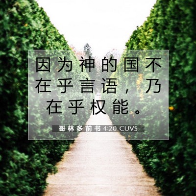 Picture 07 - 哥 林 多 前 书 4:20 CUVS - 因 为 神 的 国 不 在 乎 言 语 ， 乃 - Bible Verse Picture