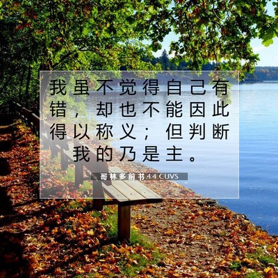Picture 07 - 哥 林 多 前 书 4:4 CUVS - 我 虽 不 觉 得 自 己 有 错 ， 却 也 - Bible Verse Picture