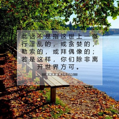 Picture 07 - 哥 林 多 前 书 5:10 CUVS - 此 话 不 是 指 这 世 上 一 概 行 淫 - Bible Verse Picture