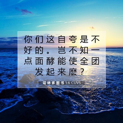 Picture 07 - 哥 林 多 前 书 5:6 CUVS - 你 们 这 自 夸 是 不 好 的 。 岂 不 - Bible Verse Picture