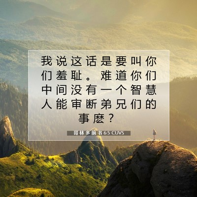 Picture 07 - 哥 林 多 前 书 6:5 CUVS - 我 说 这 话 是 要 叫 你 们 羞 耻 。 - Bible Verse Picture