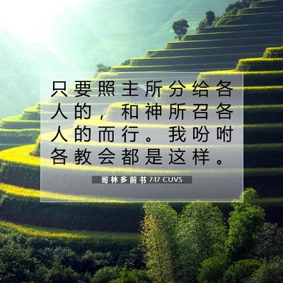 Picture 07 - 哥 林 多 前 书 7:17 CUVS - 只 要 照 主 所 分 给 各 人 的 ， 和 - Bible Verse Picture
