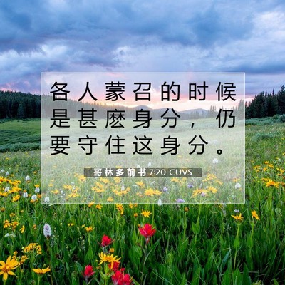 Picture 07 - 哥 林 多 前 书 7:20 CUVS - 各 人 蒙 召 的 时 候 是 甚 麽 身 分 - Bible Verse Picture