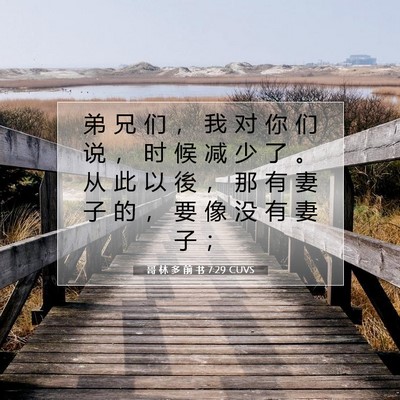 Picture 07 - 哥 林 多 前 书 7:29 CUVS - 弟 兄 们 ， 我 对 你 们 说 ， 时 候 - Bible Verse Picture