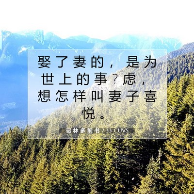 Picture 07 - 哥 林 多 前 书 7:33 CUVS - 娶 了 妻 的 ， 是 为 世 上 的 事 ? 虑 - Bible Verse Picture