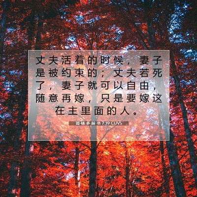 Picture 07 - 哥 林 多 前 书 7:39 CUVS - 丈 夫 活 着 的 时 候 ， 妻 子 是 被 - Bible Verse Picture