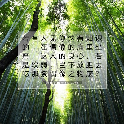 Picture 07 - 哥 林 多 前 书 8:10 CUVS - 若 有 人 见 你 这 有 知 识 的 ， 在 - Bible Verse Picture