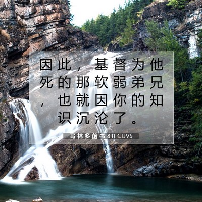 Picture 07 - 哥 林 多 前 书 8:11 CUVS - 因 此 ， 基 督 为 他 死 的 那 软 弱 - Bible Verse Picture