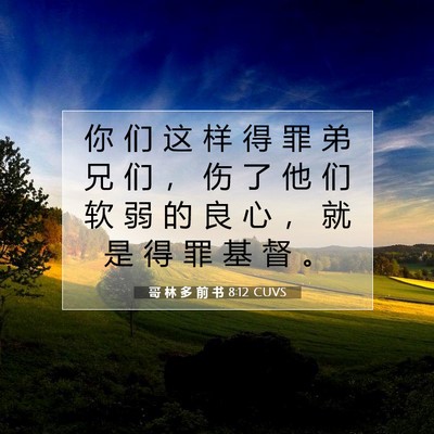 Picture 07 - 哥 林 多 前 书 8:12 CUVS - 你 们 这 样 得 罪 弟 兄 们 ， 伤 了 - Bible Verse Picture