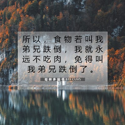 Picture 07 - 哥 林 多 前 书 8:13 CUVS - 所 以 ， 食 物 若 叫 我 弟 兄 跌 倒 - Bible Verse Picture