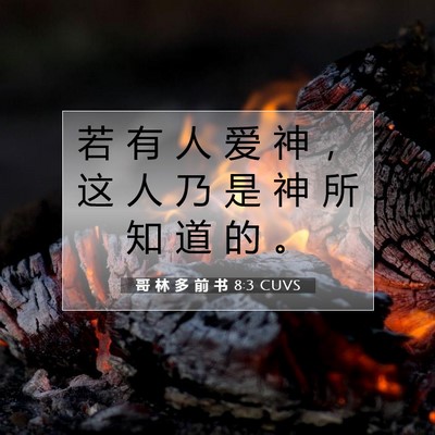 Picture 07 - 哥 林 多 前 书 8:3 CUVS - 若 有 人 爱 神 ， 这 人 乃 是 神 所 - Bible Verse Picture