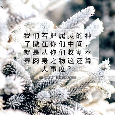 Picture 07 - 哥 林 多 前 书 9:11 CUVS - 我 们 若 把 属 灵 的 种 子 撒 在 你 - Bible Verse Picture
