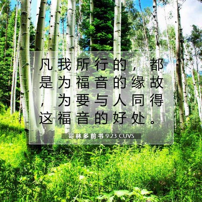Picture 07 - 哥 林 多 前 书 9:23 CUVS - 凡 我 所 行 的 ， 都 是 为 福 音 的 - Bible Verse Picture