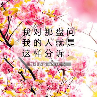 Picture 07 - 哥 林 多 前 书 9:3 CUVS - 我 对 那 盘 问 我 的 人 就 是 这 样 - Bible Verse Picture