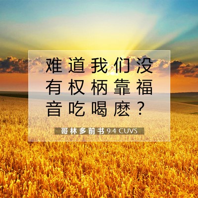 Picture 07 - 哥 林 多 前 书 9:4 CUVS - 难 道 我 们 没 有 权 柄 靠 福 音 吃 - Bible Verse Picture