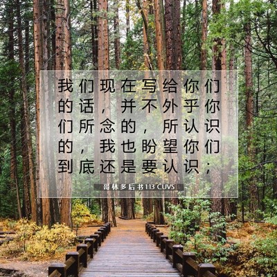 Picture 07 - 哥 林 多 后 书 1:13 CUVS - 我 们 现 在 写 给 你 们 的 话 ， 并 - Bible Verse Picture
