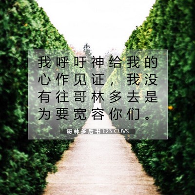 Picture 07 - 哥 林 多 后 书 1:23 CUVS - 我 呼 吁 神 给 我 的 心 作 见 证 ， - Bible Verse Picture