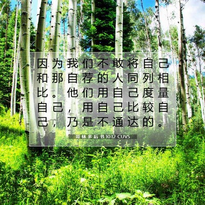 Picture 07 - 哥 林 多 后 书 10:12 CUVS - 因 为 我 们 不 敢 将 自 己 和 那 自 - Bible Verse Picture