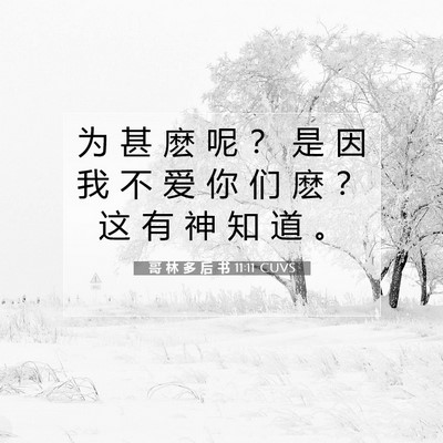 Picture 07 - 哥 林 多 后 书 11:11 CUVS - 为 甚 麽 呢 ？ 是 因 我 不 爱 你 们 - Bible Verse Picture