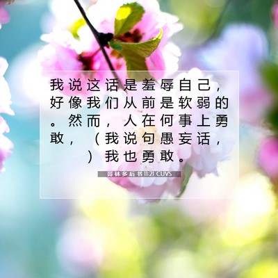Picture 07 - 哥 林 多 后 书 11:21 CUVS - 我 说 这 话 是 羞 辱 自 己 ， 好 像 - Bible Verse Picture