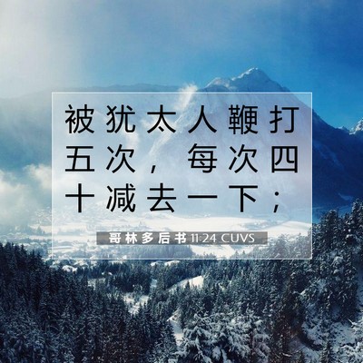 Picture 07 - 哥 林 多 后 书 11:24 CUVS - 被 犹 太 人 鞭 打 五 次 ， 每 次 四 - Bible Verse Picture