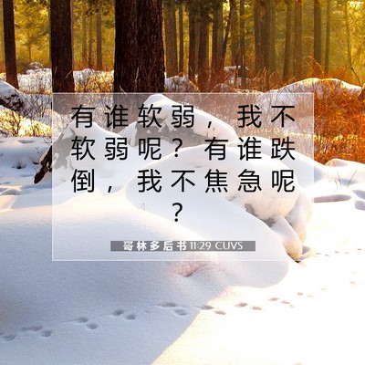 Picture 07 - 哥 林 多 后 书 11:29 CUVS - 有 谁 软 弱 ， 我 不 软 弱 呢 ？ 有 - Bible Verse Picture