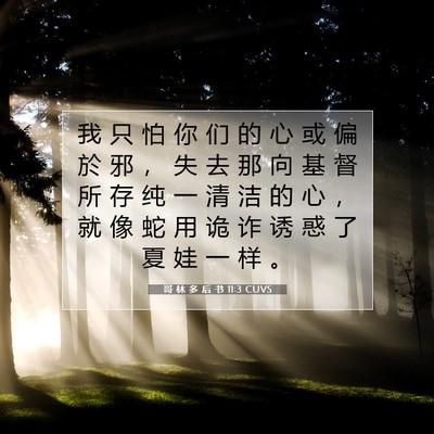 Picture 07 - 哥 林 多 后 书 11:3 CUVS - 我 只 怕 你 们 的 心 或 偏 於 邪 ， - Bible Verse Picture