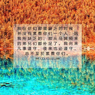 Picture 07 - 哥 林 多 后 书 11:9 CUVS - 我 在 你 们 那 里 缺 乏 的 时 候 ， - Bible Verse Picture