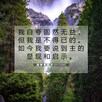 Picture 07 - 哥 林 多 后 书 12:1 CUVS - 我 自 夸 固 然 无 益 ， 但 我 是 不 - Bible Verse Picture