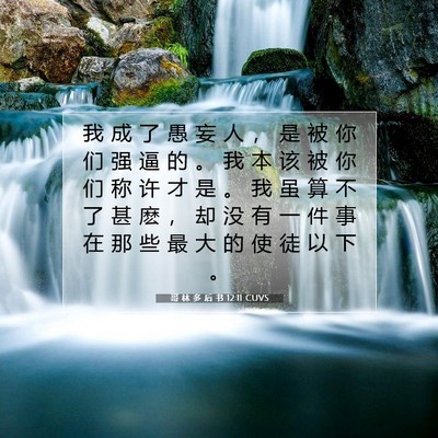 Picture 07 - 哥 林 多 后 书 12:11 CUVS - 我 成 了 愚 妄 人 ， 是 被 你 们 强 - Bible Verse Picture