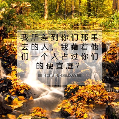 Picture 07 - 哥 林 多 后 书 12:17 CUVS - 我 所 差 到 你 们 那 里 去 的 人 ， - Bible Verse Picture