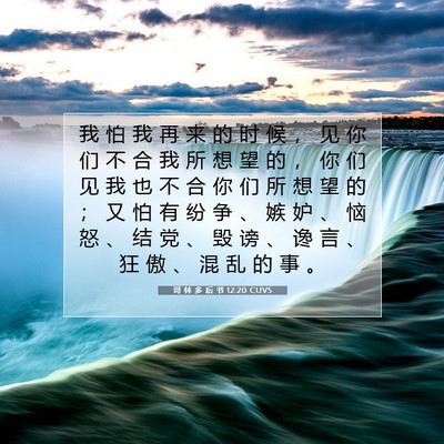 Picture 07 - 哥 林 多 后 书 12:20 CUVS - 我 怕 我 再 来 的 时 候 ， 见 你 们 - Bible Verse Picture