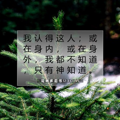 Picture 07 - 哥 林 多 后 书 12:3 CUVS - 我 认 得 这 人 ； 或 在 身 内 ， 或 - Bible Verse Picture