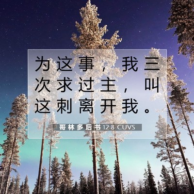Picture 07 - 哥 林 多 后 书 12:8 CUVS - 为 这 事 ， 我 三 次 求 过 主 ， 叫 - Bible Verse Picture