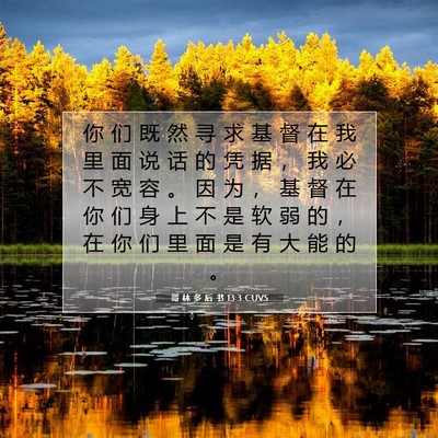 Picture 07 - 哥 林 多 后 书 13:3 CUVS - 你 们 既 然 寻 求 基 督 在 我 里 面 - Bible Verse Picture