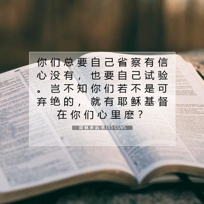 Picture 07 - 哥 林 多 后 书 13:5 CUVS - 你 们 总 要 自 己 省 察 有 信 心 没 - Bible Verse Picture