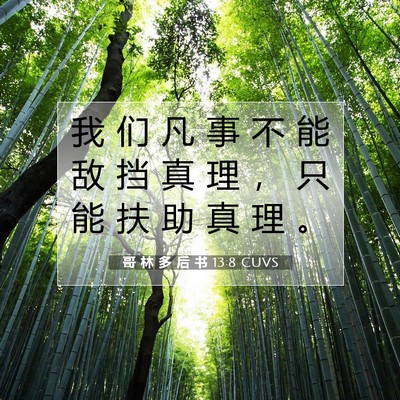 Picture 07 - 哥 林 多 后 书 13:8 CUVS - 我 们 凡 事 不 能 敌 挡 真 理 ， 只 - Bible Verse Picture
