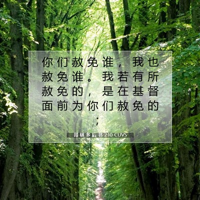 Picture 07 - 哥 林 多 后 书 2:10 CUVS - 你 们 赦 免 谁 ， 我 也 赦 免 谁 。 - Bible Verse Picture
