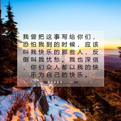 Picture 07 - 哥 林 多 后 书 2:3 CUVS - 我 曾 把 这 事 写 给 你 们 ， 恐 怕 - Bible Verse Picture