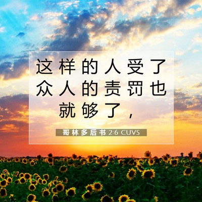Picture 07 - 哥 林 多 后 书 2:6 CUVS - 这 样 的 人 受 了 众 人 的 责 罚 也 - Bible Verse Picture