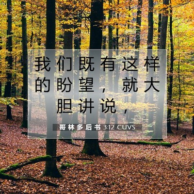 Picture 07 - 哥 林 多 后 书 3:12 CUVS - 我 们 既 有 这 样 的 盼 望 ， 就 大 - Bible Verse Picture