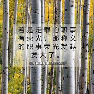 Picture 07 - 哥 林 多 后 书 3:9 CUVS - 若 是 定 罪 的 职 事 有 荣 光 ， 那 - Bible Verse Picture