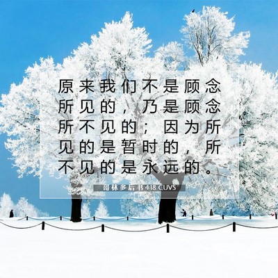 Picture 07 - 哥 林 多 后 书 4:18 CUVS - 原 来 我 们 不 是 顾 念 所 见 的 ， - Bible Verse Picture